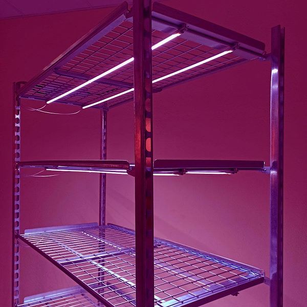 Wire-mesh trolley with LED lights kit for microgreens