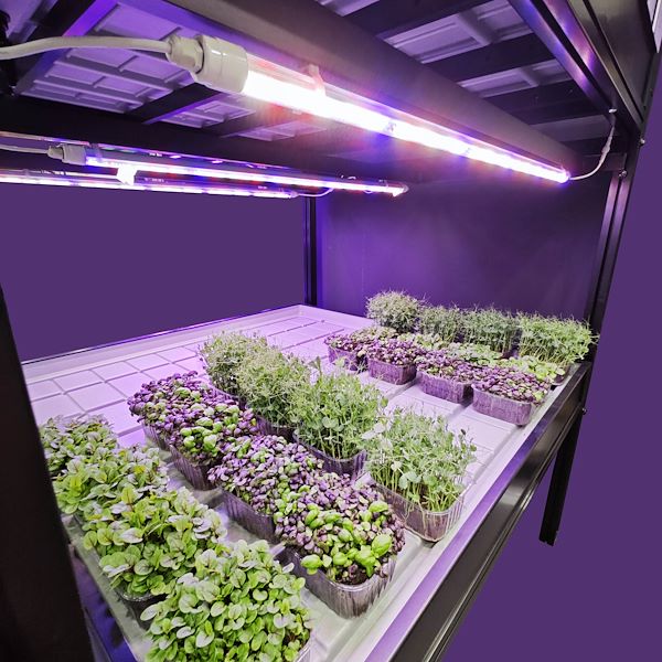 Vertical farming system